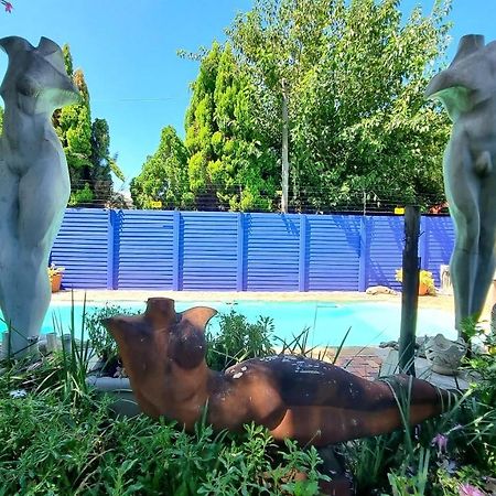 Pretoria-NoordThe Sculpture Yard 1公寓 外观 照片