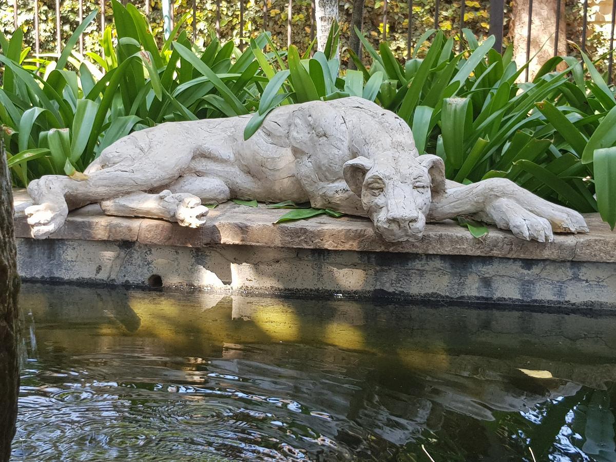 Pretoria-NoordThe Sculpture Yard 1公寓 外观 照片